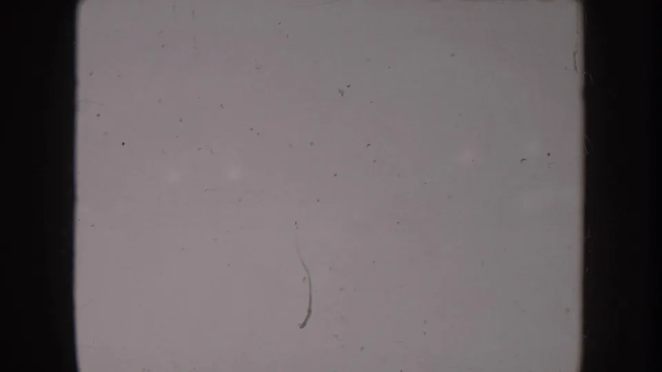 Blank or overexposed 8mm leader frame at clip opening; no subject or background detail discernible.