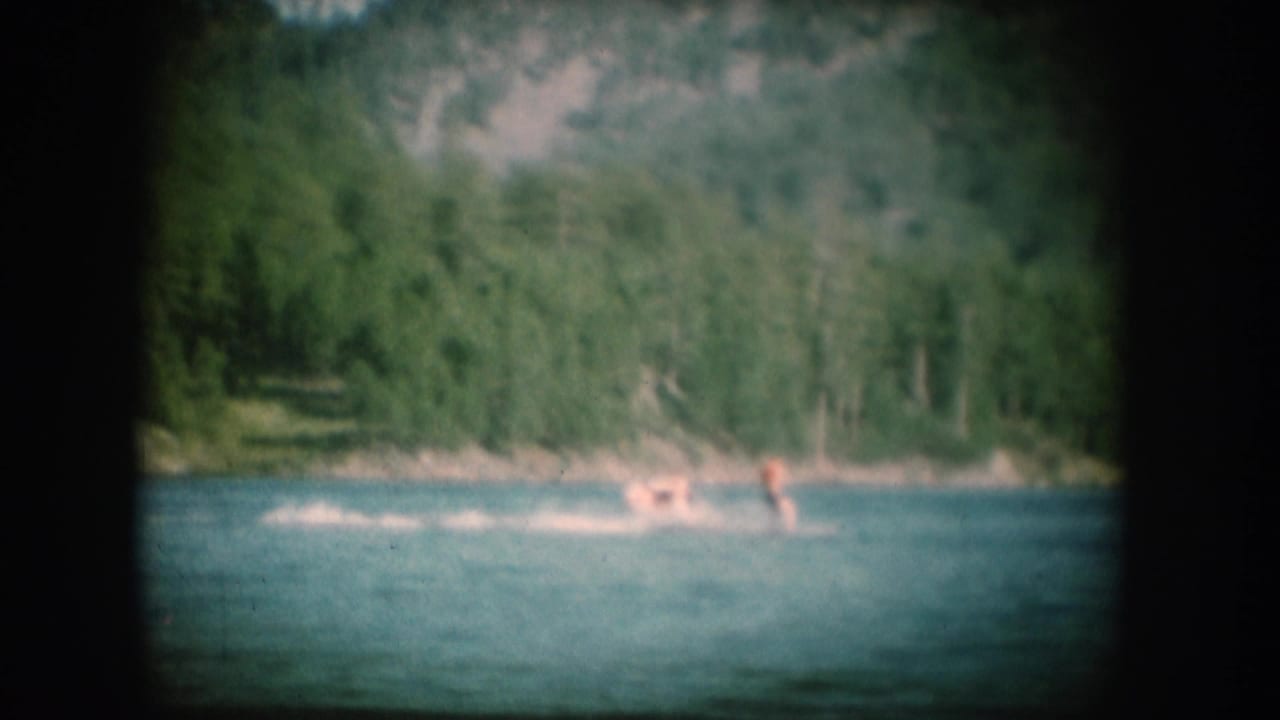 Blue lake with a single distant figure on the water; steep wooded hillside fills the background.
