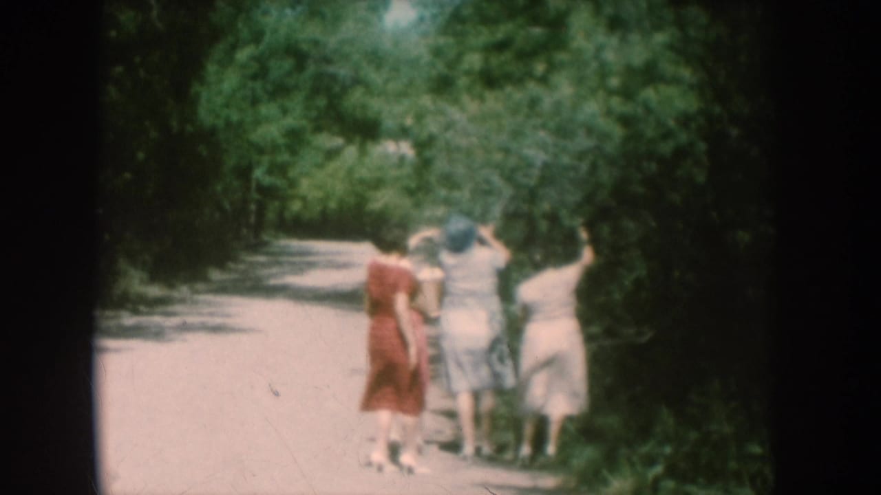 Group of women viewed from behind on a gravel path, arms raised toward surrounding foliage.