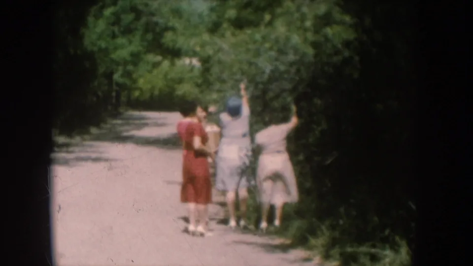 8mm home movie frame, c.1956, showing a group of women on a wooded path, one with arm extended upward toward tree foliage, in mid-century summer attire.