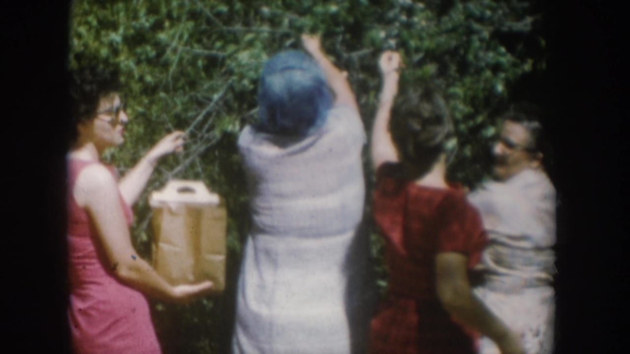 Four women in 1950s summer attire picking berries from a dense bush in South Dakota, 1956; one holds a cardboard collection box