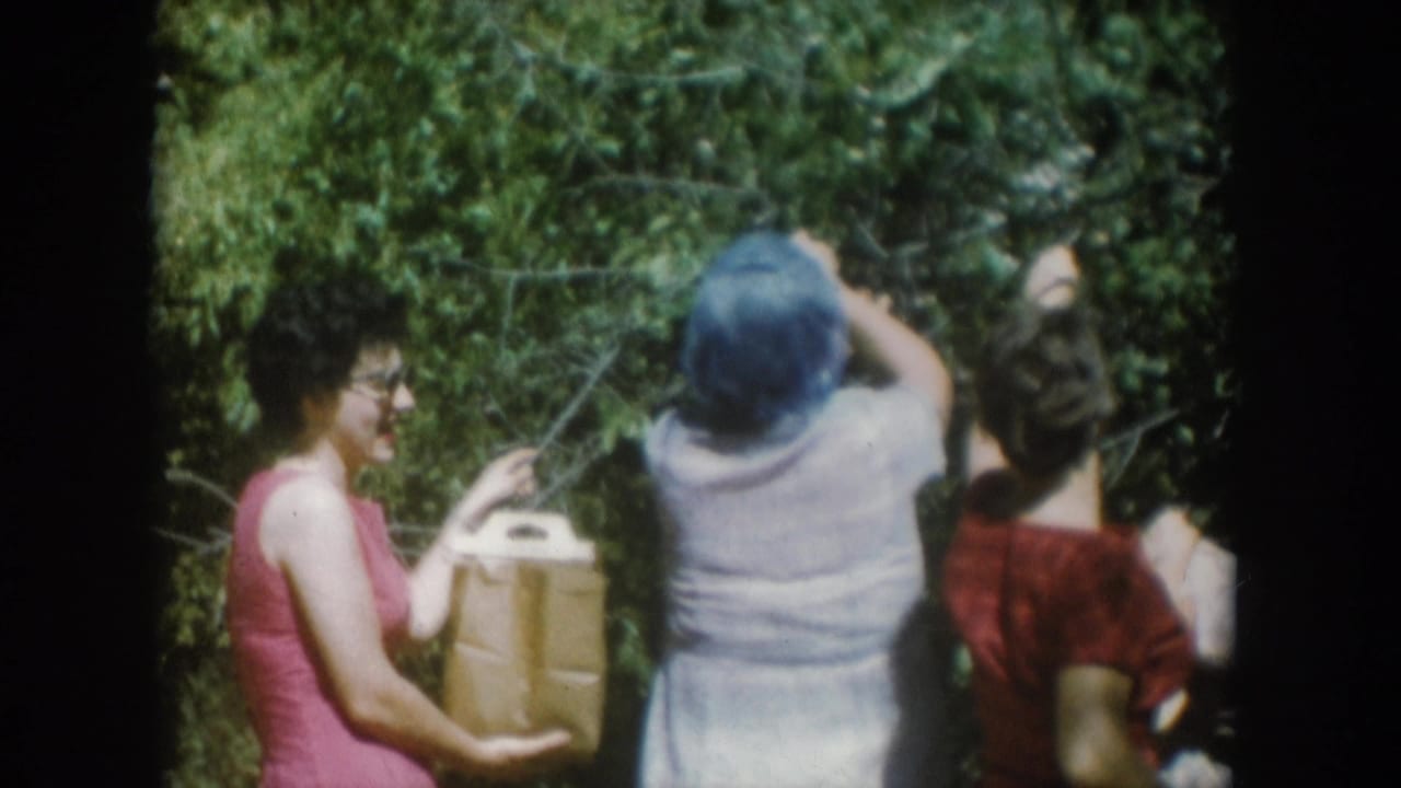 Women picking berries from a garden bush; woman in pink dress visible in profile near cardboard box