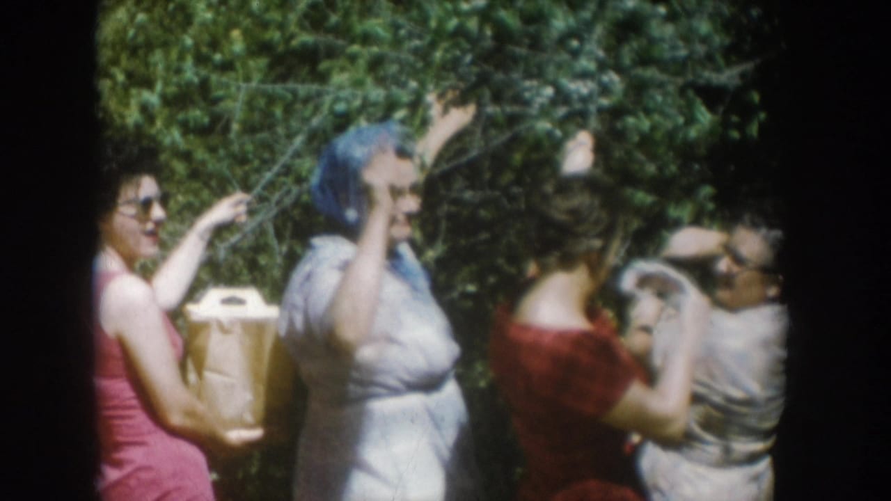 Group of women in 1950s summer attire picking garden fruit; slight motion blur from original 8mm film, South Dakota, 1956