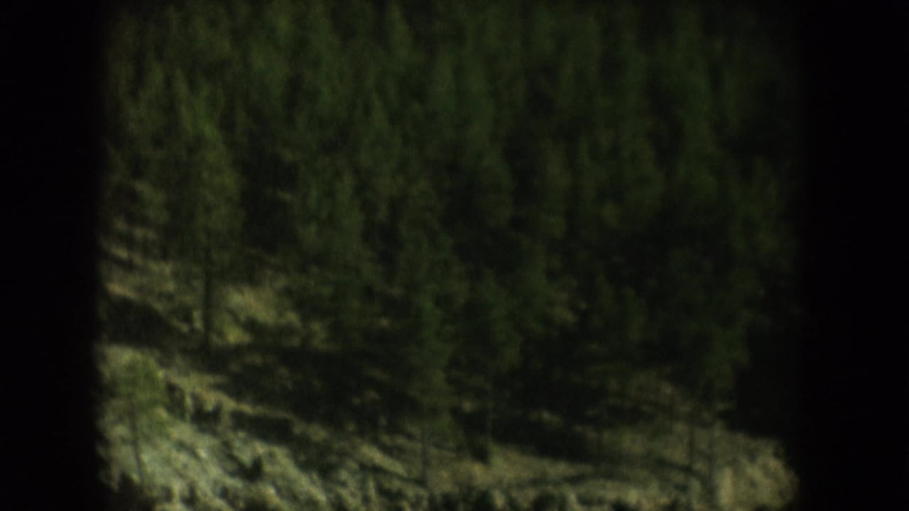 Evergreen-forested rocky hillside above a South Dakota lake shoreline, circa 1956, 8mm home movie