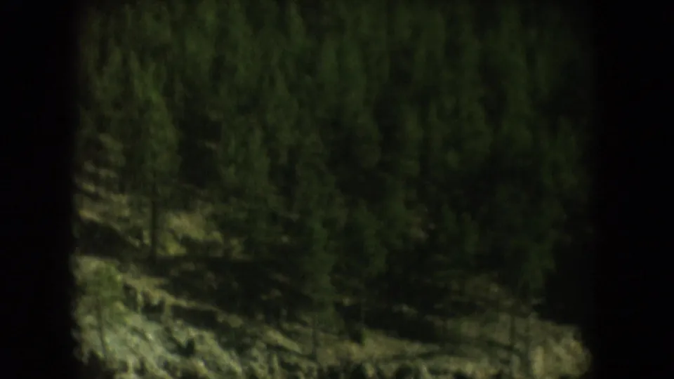 Evergreen-forested rocky hillside above a South Dakota lake shoreline, circa 1956, 8mm home movie