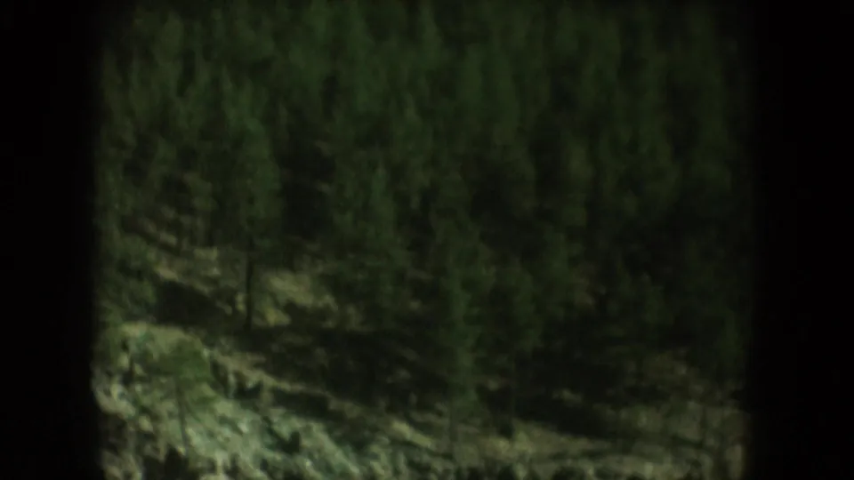 Rocky forested lake shoreline in South Dakota, circa 1956, closing environmental shot from 8mm home movie reel