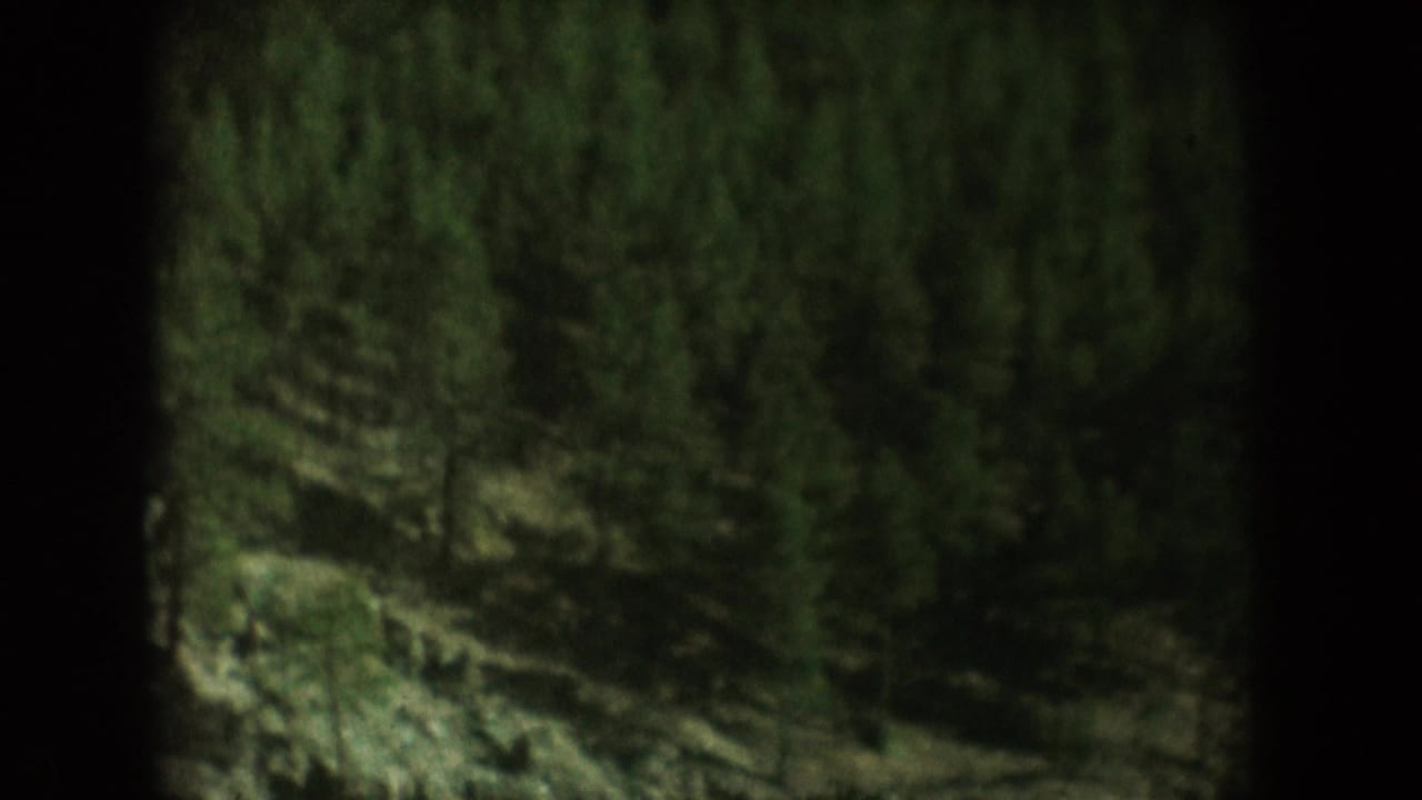 Pine-covered mountain slope filmed on 8mm in what metadata identifies as South Dakota, USA, circa 1956; dark vignette borders visible at frame edges.
