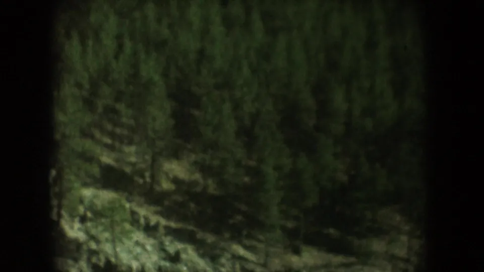 Pine-covered mountain slope filmed on 8mm in what metadata identifies as South Dakota, USA, circa 1956; dark vignette borders visible at frame edges.