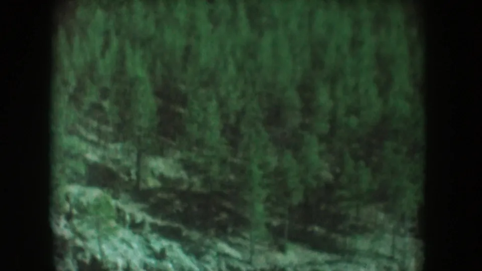 Continued view across pine-forested mountain slope on 8mm film, consistent with mid-1950s South Dakota backcountry filming; soft focus throughout.