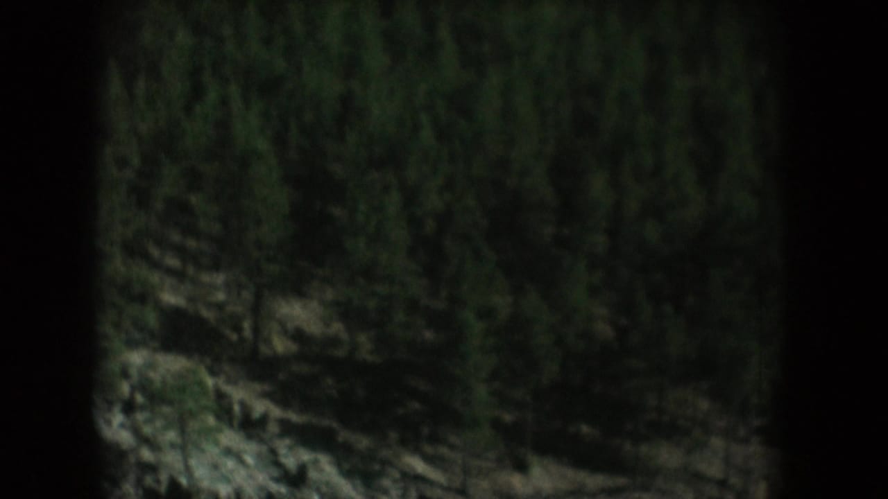 Darker, more shadowed view of pine-covered slope on 8mm film; vignette pronounced on left; consistent with South Dakota backcountry, circa 1956.
