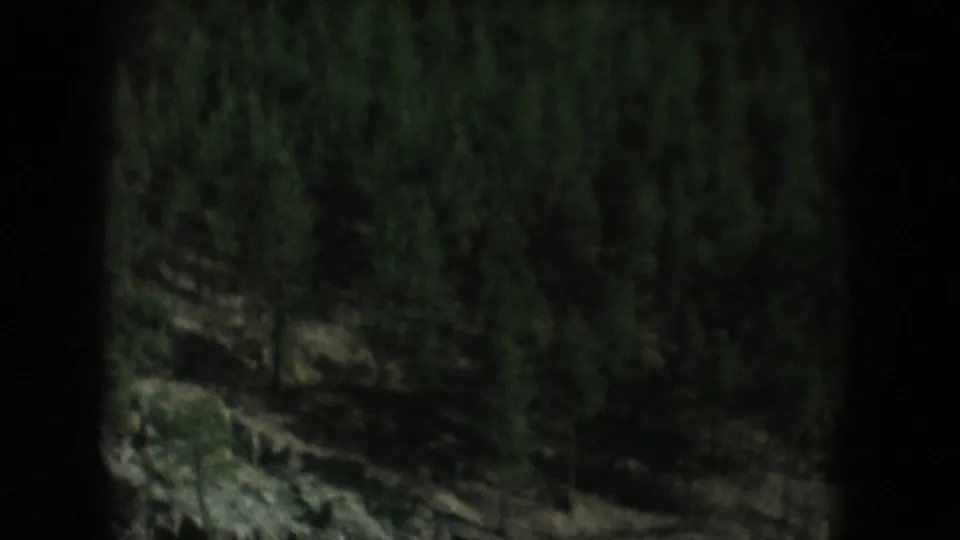 Darker, more shadowed view of pine-covered slope on 8mm film; vignette pronounced on left; consistent with South Dakota backcountry, circa 1956.