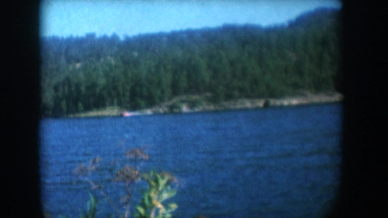 Forested lake landscape with tiny distant boat and foreground vegetation, 8mm film, circa 1956 South Dakota.