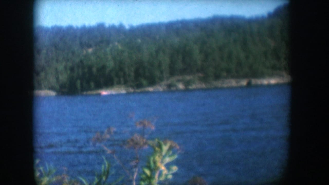 Forested lake landscape with distant red speedboat and foreground shrub, 8mm film, circa 1956 South Dakota.