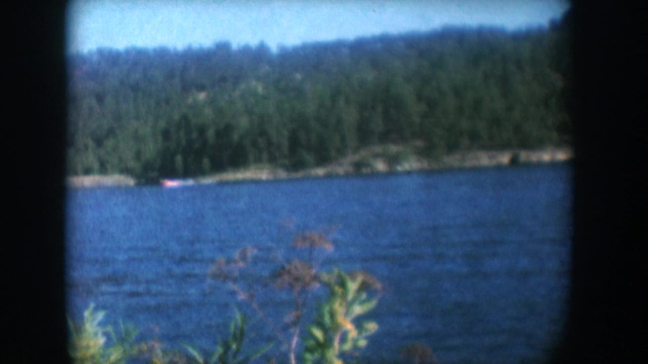 Forested lake with distant speedboat and foreground vegetation, 8mm home movie, circa 1956 South Dakota.