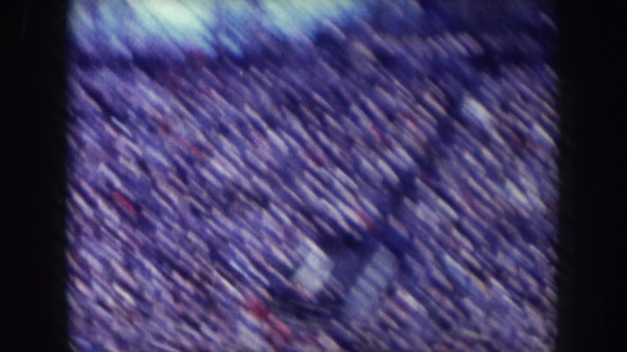 Stadium crowd viewed from a slightly elevated angle; faint pale object near field area indistinct due to motion blur.