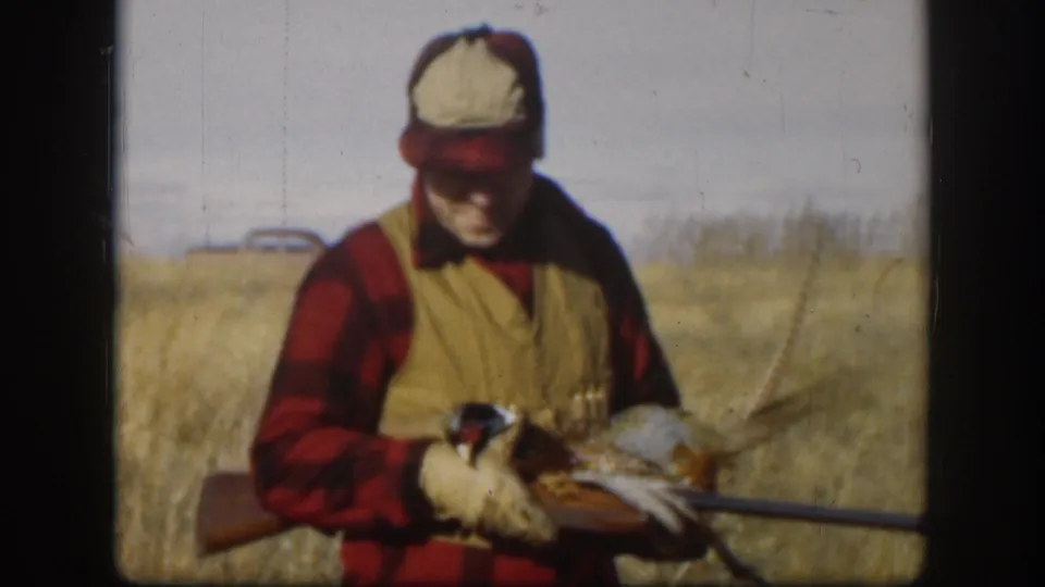 Hunter in 1950s attire examines a harvested pheasant held in both hands, hunting long gun resting across his arms, dry Kansas prairie grass behind him, circa 1958.