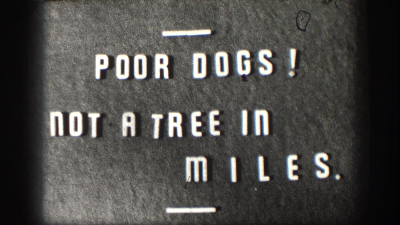 Continued hold on 1958 Kansas title card 'POOR DOGS! NOT A TREE IN MILES.' — lighter exposure than the opening frame, with a small dark film artifact in the upper right.