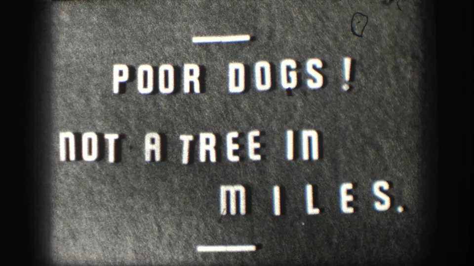 Continued hold on 1958 Kansas title card 'POOR DOGS! NOT A TREE IN MILES.' — lighter exposure than the opening frame, with a small dark film artifact in the upper right.