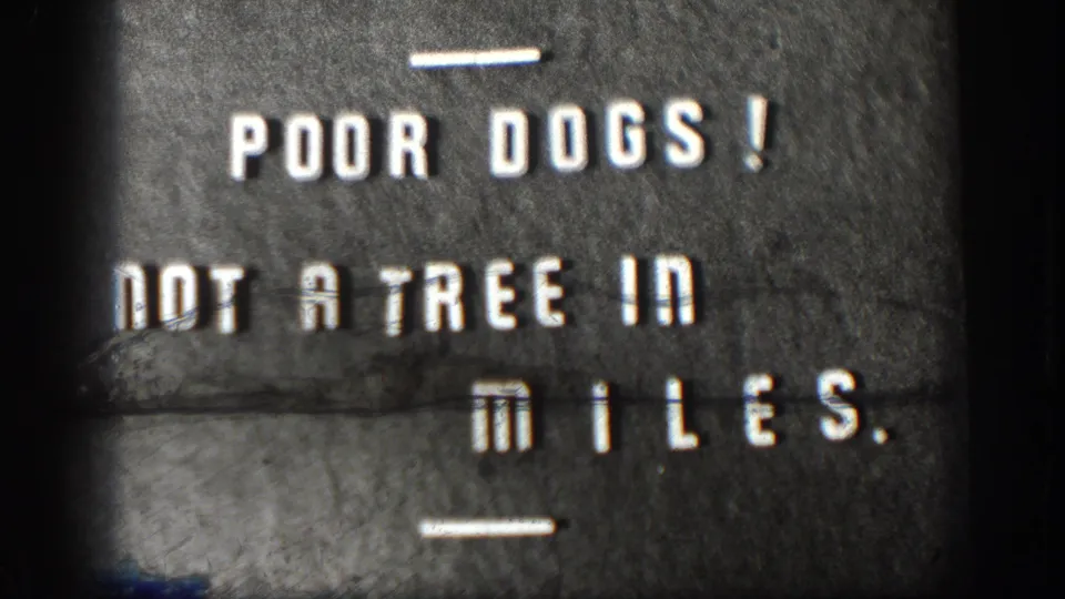 Late hold of 1958 Kansas title card 'POOR DOGS! NOT A TREE IN MILES.' showing color contamination and distortion at the lower left, consistent with a film splice or reel transition.