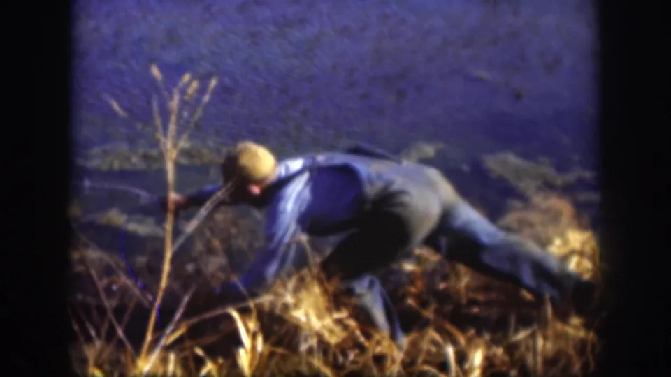 Adult man in blue shirt and pale cap bent low in dry Kansas grass, reaching with a stick toward the ground, 8mm home movie circa 1958.