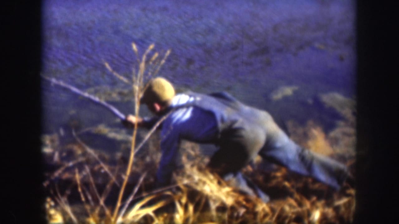 Young boy crouching at a reed-lined water's edge in Kansas, c.1958; 8mm home movie with characteristic blue color cast and film grain.