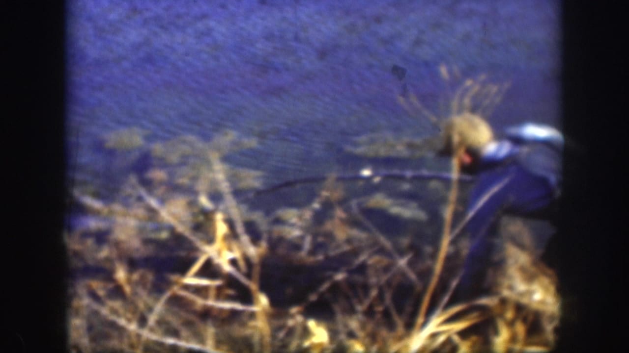 Boy in dark clothing leaning toward still water from a reedy bank, viewed from the rear, water surface visible with blue-purple cast.