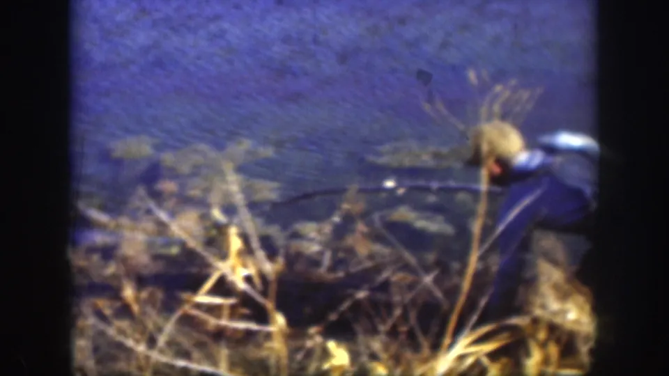 Boy reaching from a reed-lined bank toward still water, seen from rear; 8mm home movie, Kansas, c.1958; blue-shifted color typical of aged film stock.