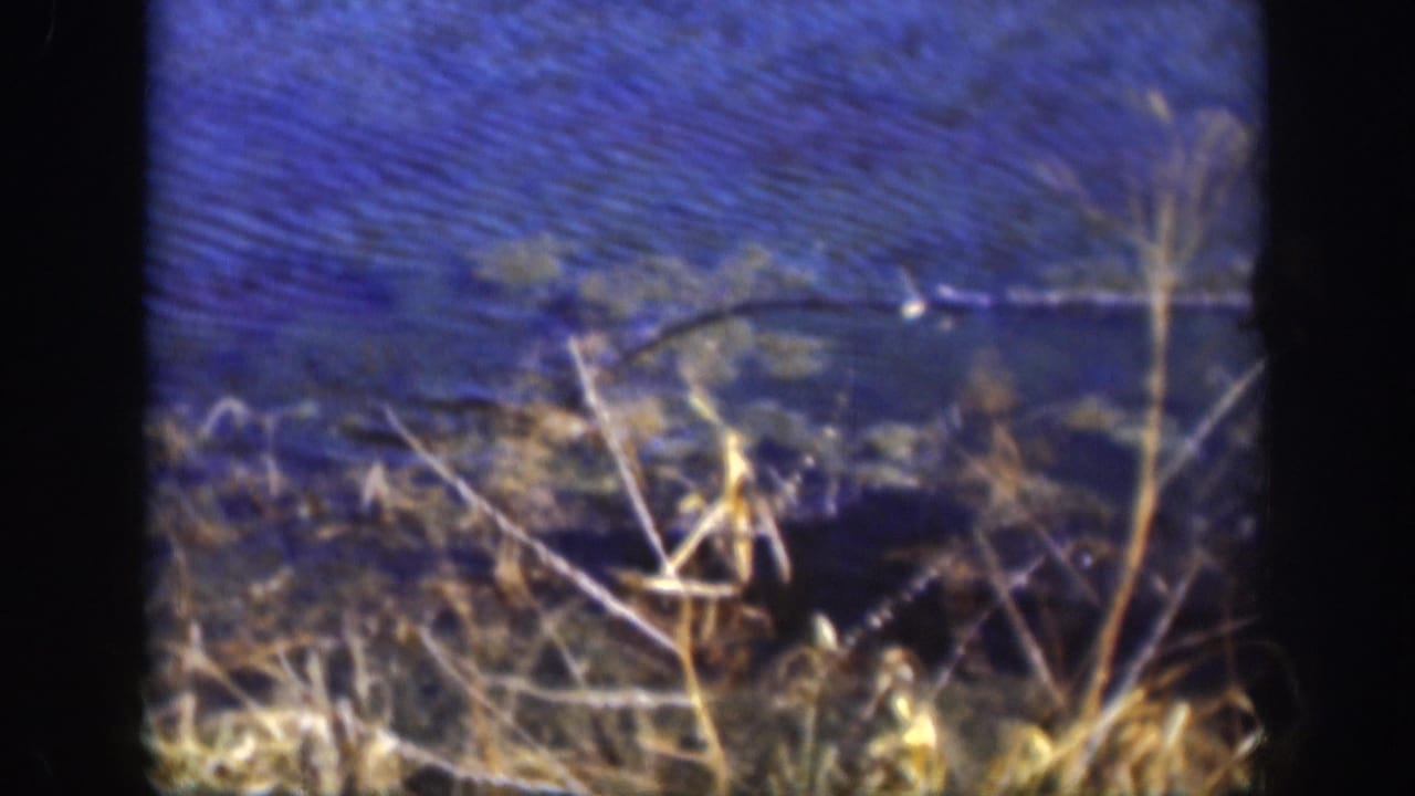 8mm home movie exterior, likely a Kansas river or lake circa 1958, showing blue water above a tangle of dry golden grass and dead reeds, with heavy grain and soft focus.