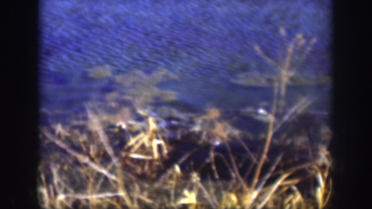 Continued 8mm exterior of blue water and dry riparian grass, possibly a Kansas fishing location circa 1958, with pronounced film grain and blue-purple color cast.