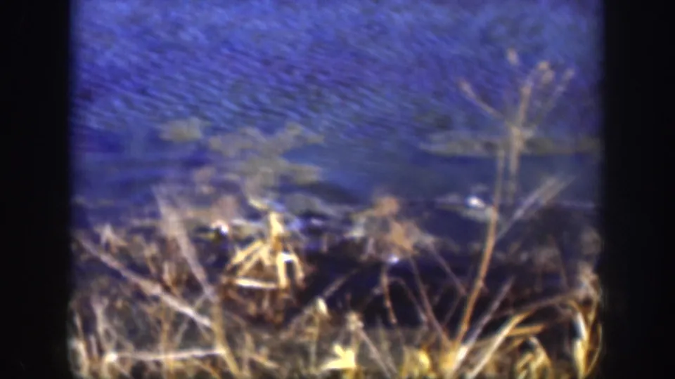 Continued 8mm exterior of blue water and dry riparian grass, possibly a Kansas fishing location circa 1958, with pronounced film grain and blue-purple color cast.
