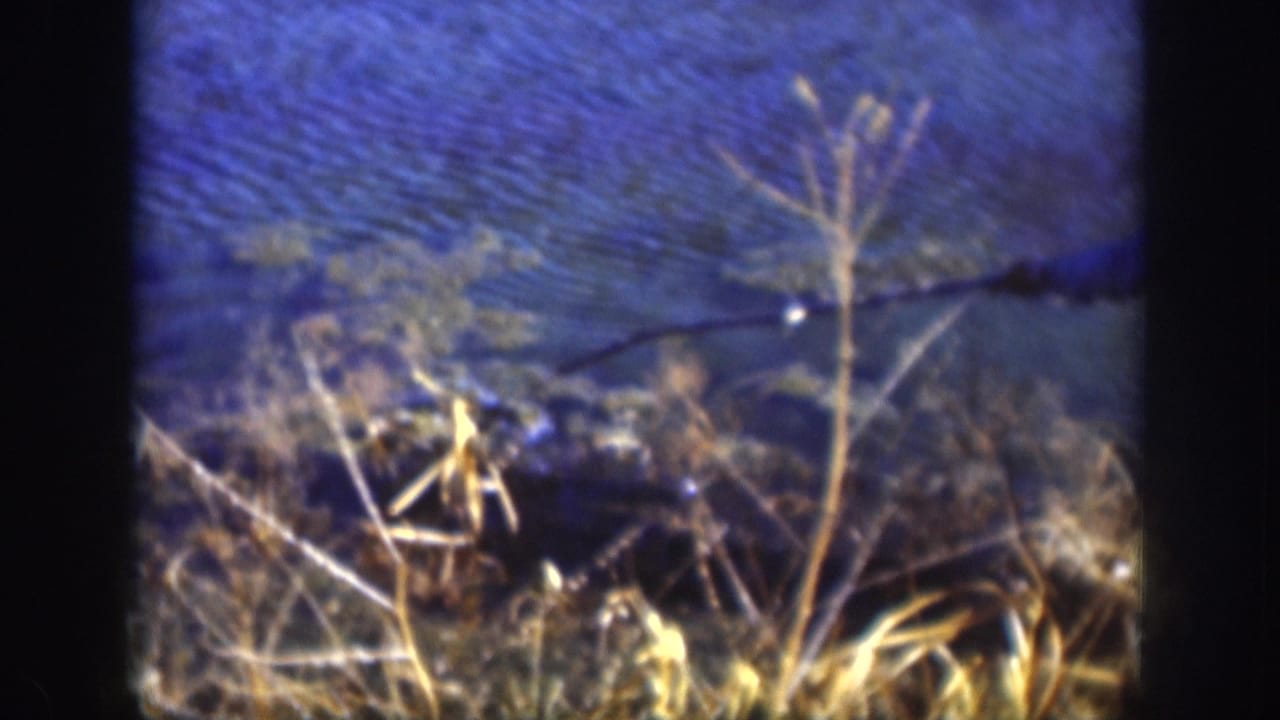 8mm home movie frame of a rural lake shoreline with dry autumn grass and bare branch stems against rippled blue water, likely Kansas, late 1950s.