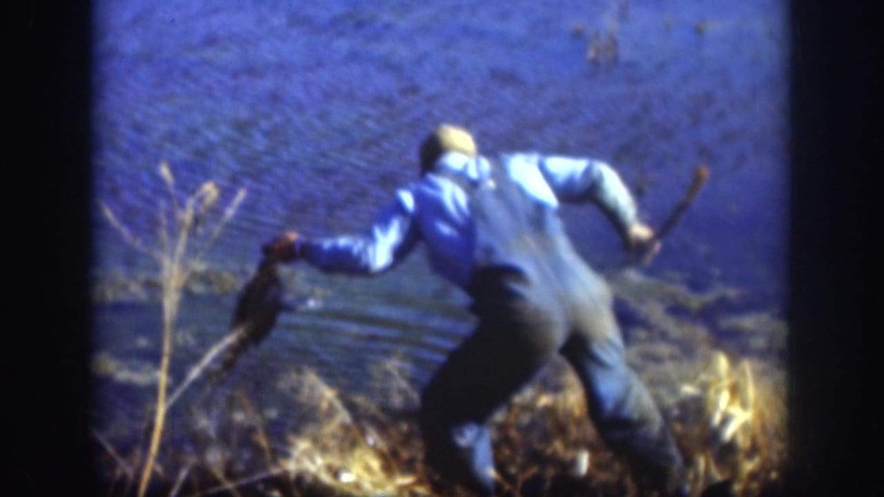 Man stooping at a lake's edge amid dry golden reeds, gripping a stick; 1950s 8mm home movie from the Kansas area.