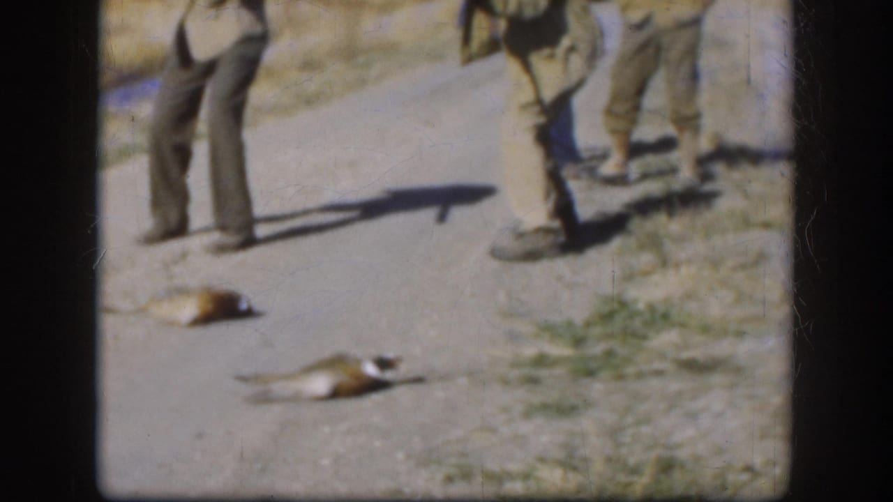 Men in hunting trousers and boots stand on a rural Kansas gravel road beside two dead pheasants, circa 1958, 8mm color film.
