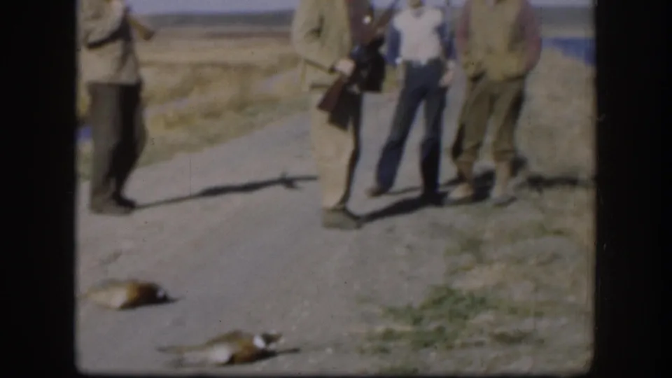 Three or four hunters gathered on a flat Kansas rural road beside a downed pheasant, open farmland stretching behind, circa 1958.