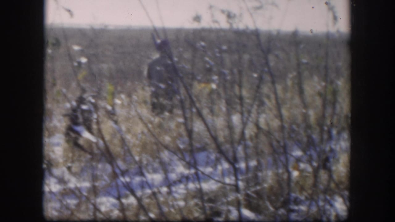 Man in winter clothing among bare brush in a snowy field, viewed through a window frame, 8mm color footage.