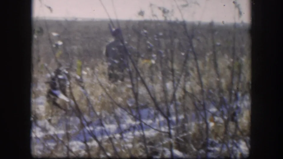 1958 Kansas 8mm: hunter visible through foreground bare branches and window-frame border, moving through snowy scrubland.