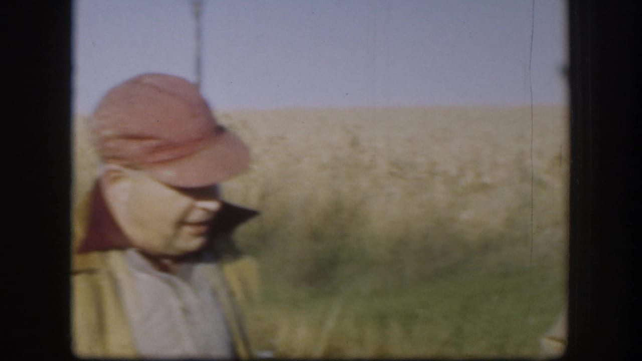 Middle-aged man in red baseball cap and tan work jacket, head bowed, standing in front of a Kansas wheat field, circa 1958, 8mm color film.