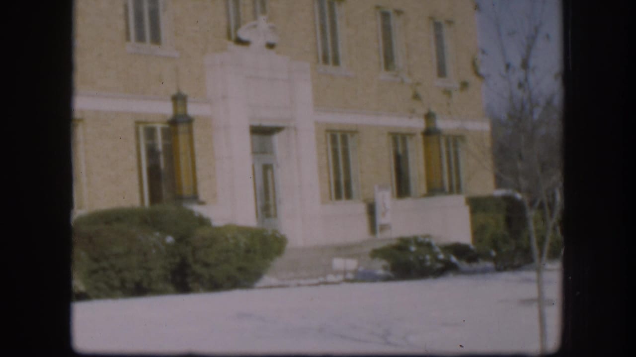 Similar wide view of the beige brick courthouse facade showing entrance area, shrubs in snow, and bare tree at frame edge.