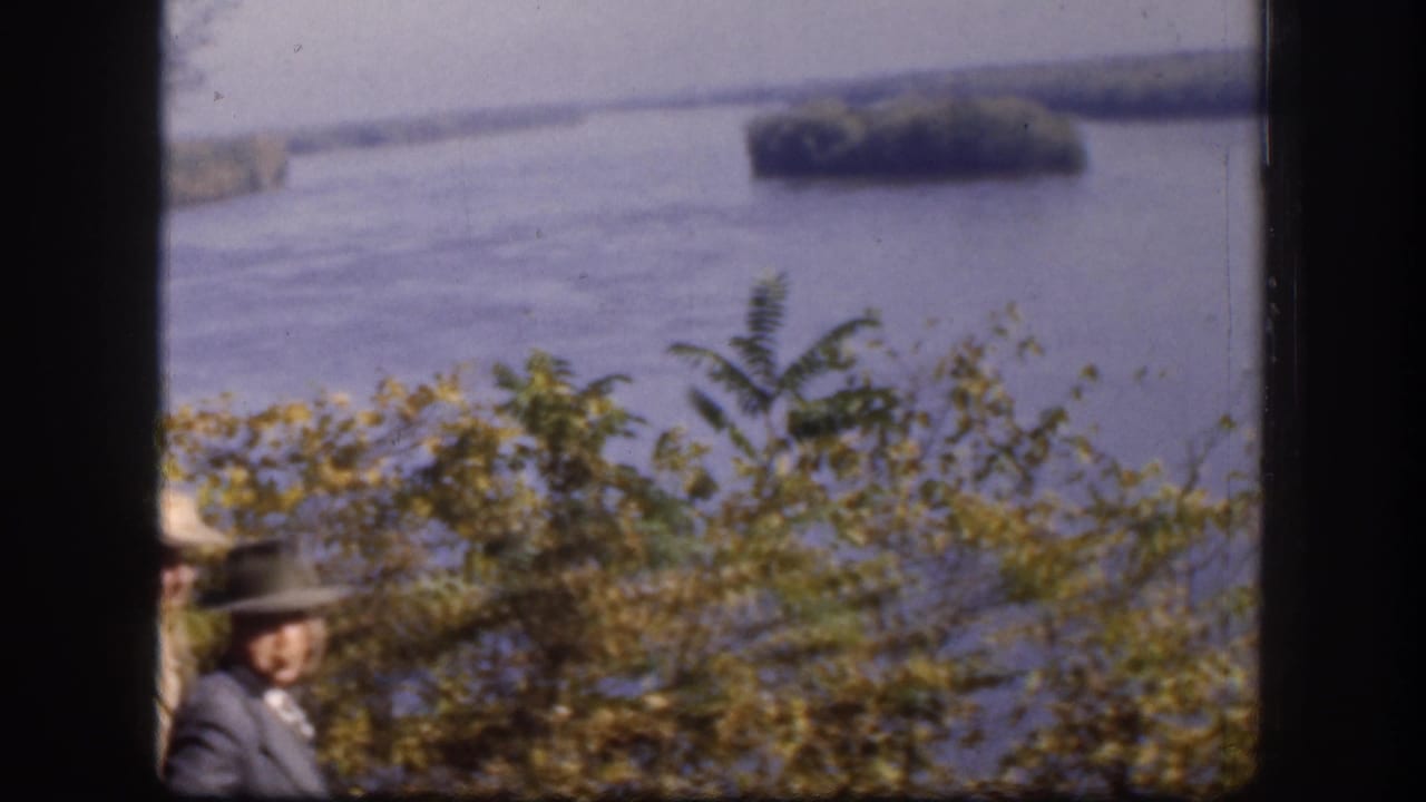 Man in dark brimmed hat at right of frame looking toward river with tree-covered islands and yellow-green foreground foliage.