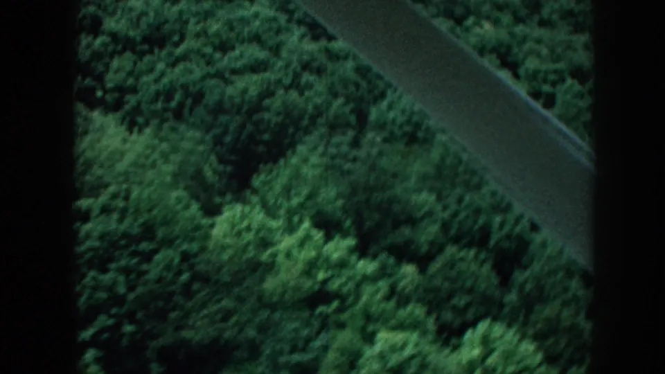 Mid-flight aerial view circa 1958 over dense summer forest canopy, camera now panned away from the airstrip, with an aircraft wing or strut visible diagonally.