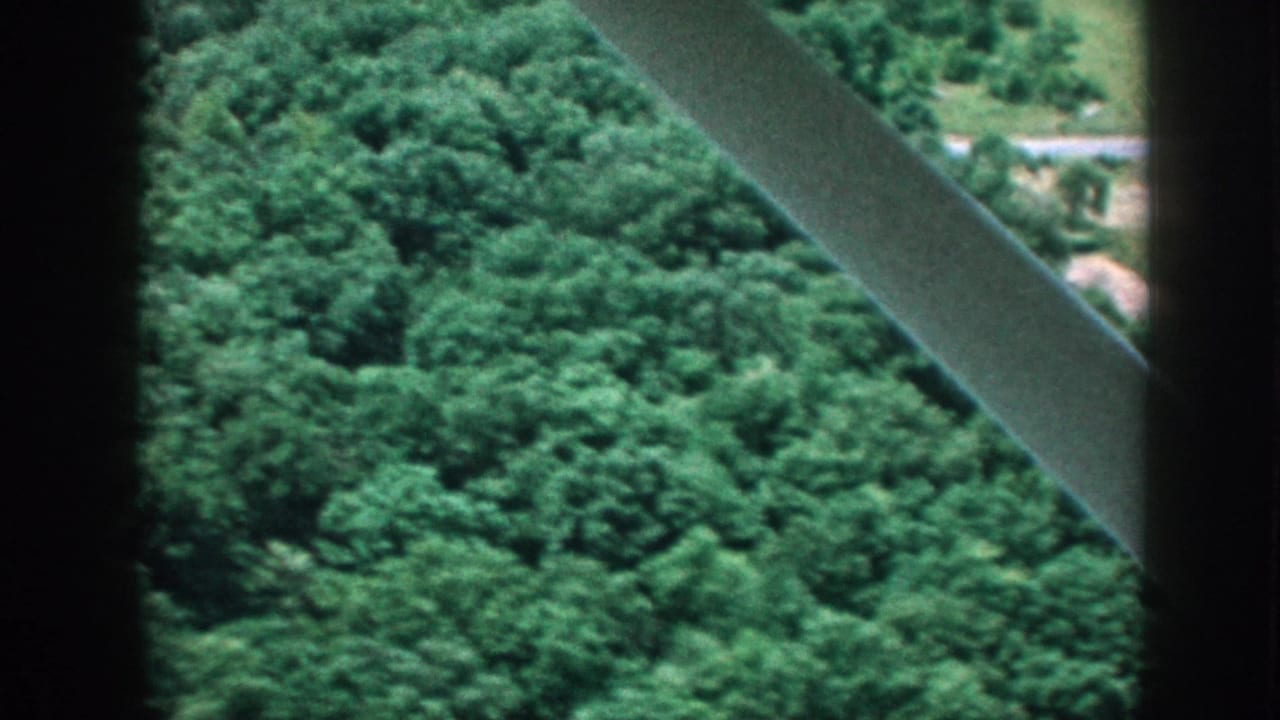1958 8mm aerial view through light-aircraft struts looking down on a green forest canopy and the edge of cultivated farmland, Nebraska.