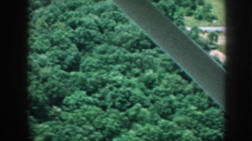 1958 8mm aerial view through light-aircraft struts looking down on a green forest canopy and the edge of cultivated farmland, Nebraska.