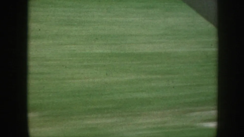 Mid-sequence 8mm frame, Nebraska c. 1958: foreground green grass dominates as vehicle moves past the farmstead, dark vehicle window frame at right edge.