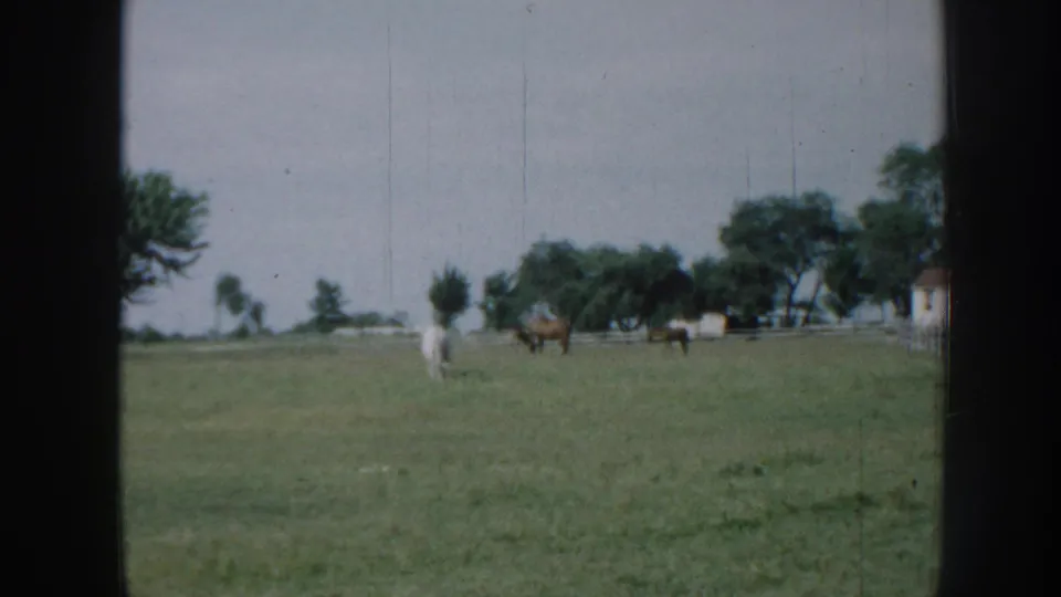 White horse and several brown horses grazing in a fenced meadow; farm building and treeline visible in background; 8mm home movie, Nebraska, c. 1958.