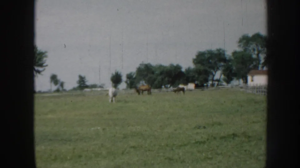 White horse at left, brown horses in mid-ground, white rail fence, white farm building with reddish-brown roof, and deciduous treeline; 8mm home movie, Nebraska, c. 1958.