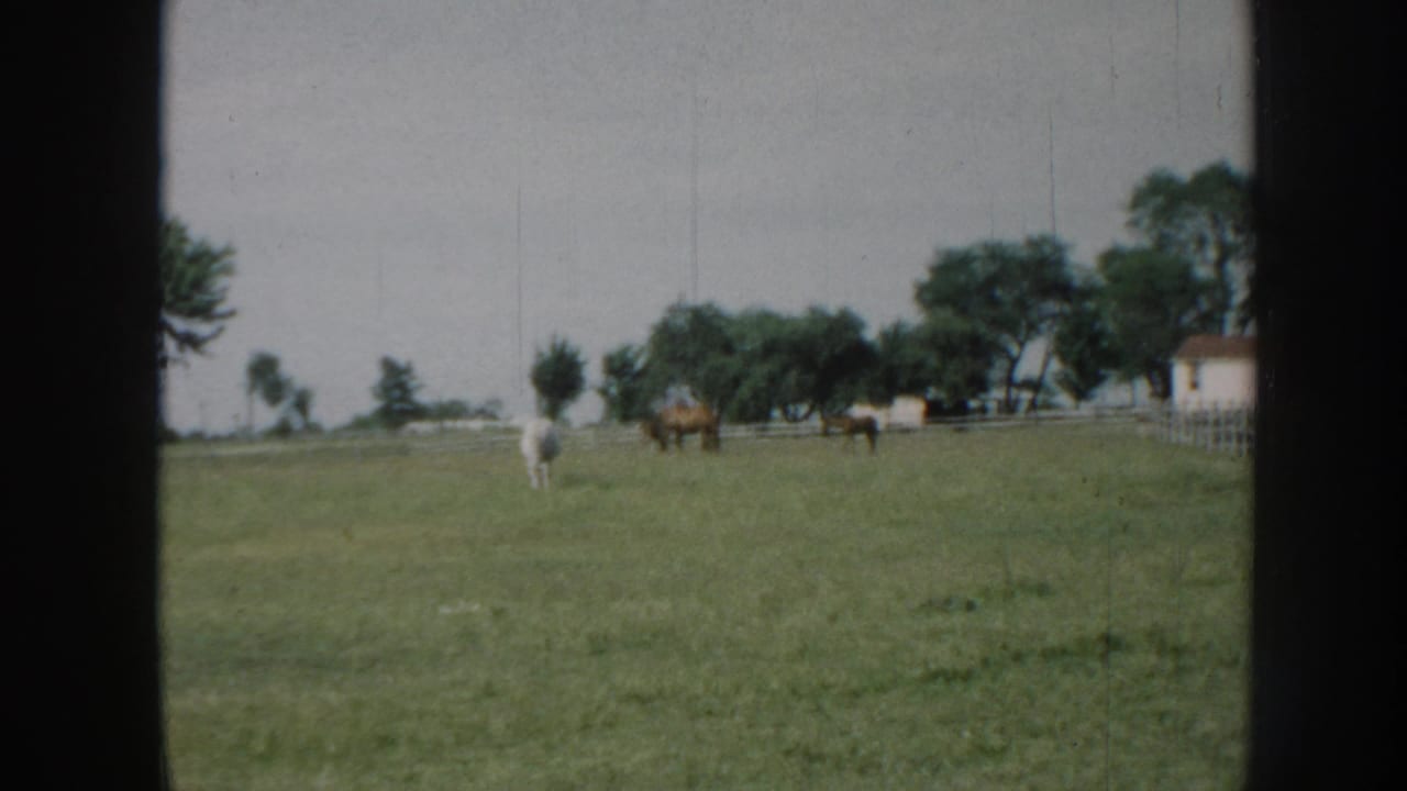 Three horses grazing in a fenced pasture with a farm outbuilding behind, attributed to Nebraska circa 1958; 8mm home movie with visible film-gate border.