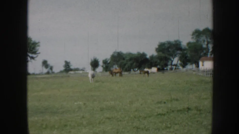 Three horses grazing in a fenced pasture with a farm outbuilding behind, attributed to Nebraska circa 1958; 8mm home movie with visible film-gate border.