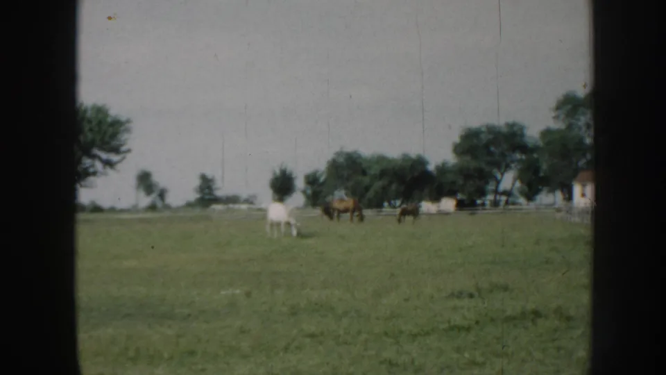 Horses at pasture near white farm outbuilding, attributed to Nebraska circa 1958; 8mm grain and color fading consistent with mid-century home movie stock.