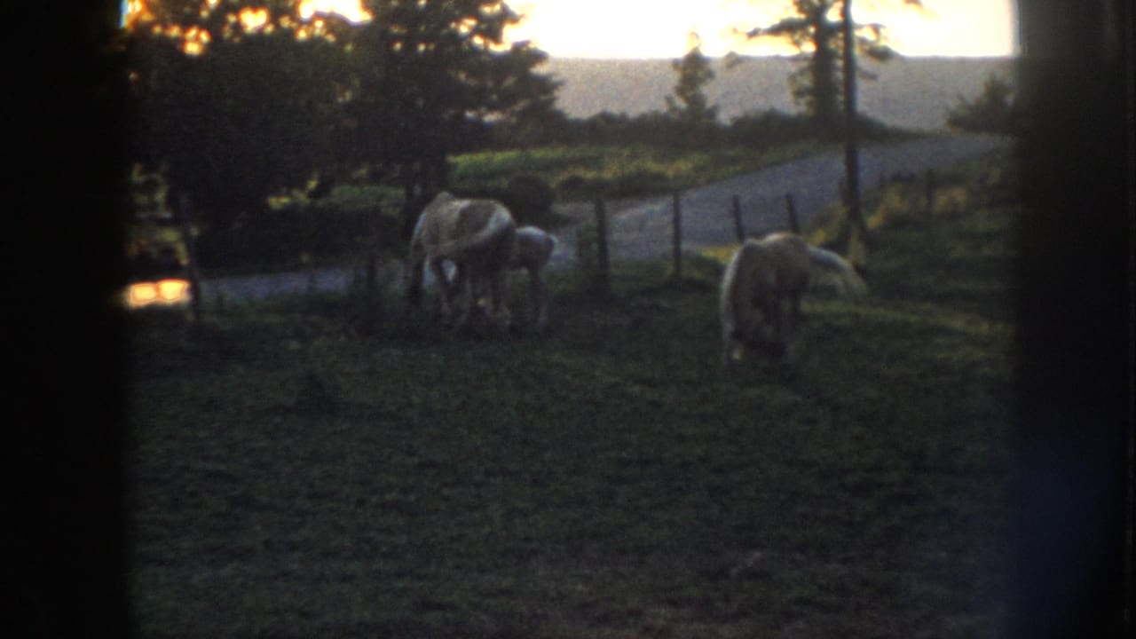 8mm home movie frame, c.1958, showing pale horses grazing by a wooden fence at dusk in a rural Midwestern setting.