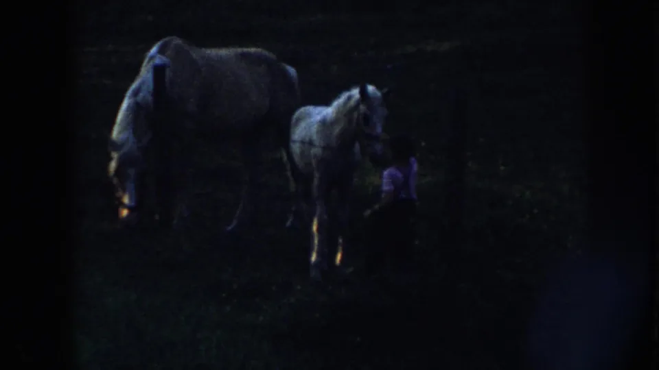 8mm home movie close view, c.1958, of two light horses at dusk with a person partially visible alongside, heavy grain and vignetting throughout.